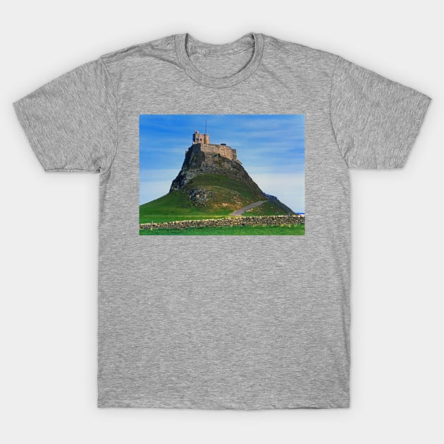 Beblowe Craig T-Shirt by tomg